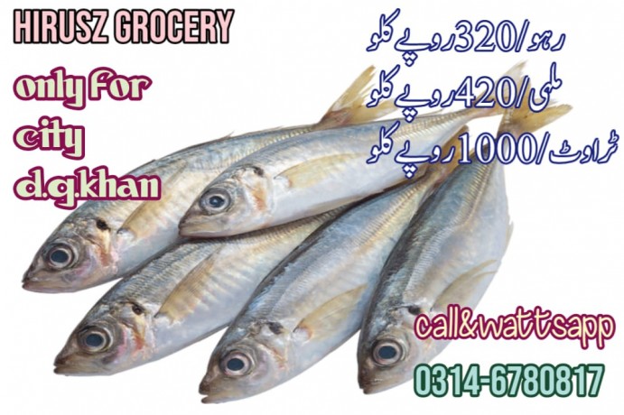 grocery-home-delivery-hirusz-grocery-dera-ghazi-khan-available-03146780817-big-2